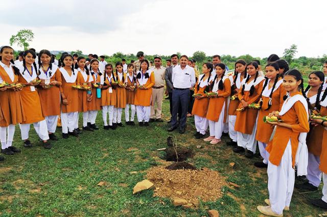 Students of Maharishi Vidya Mandir Panna did tree plantation